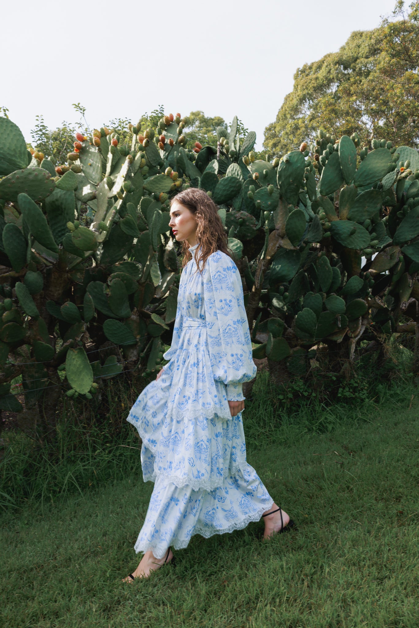 Meadow Gate Toile Tiered Maxi Dress
