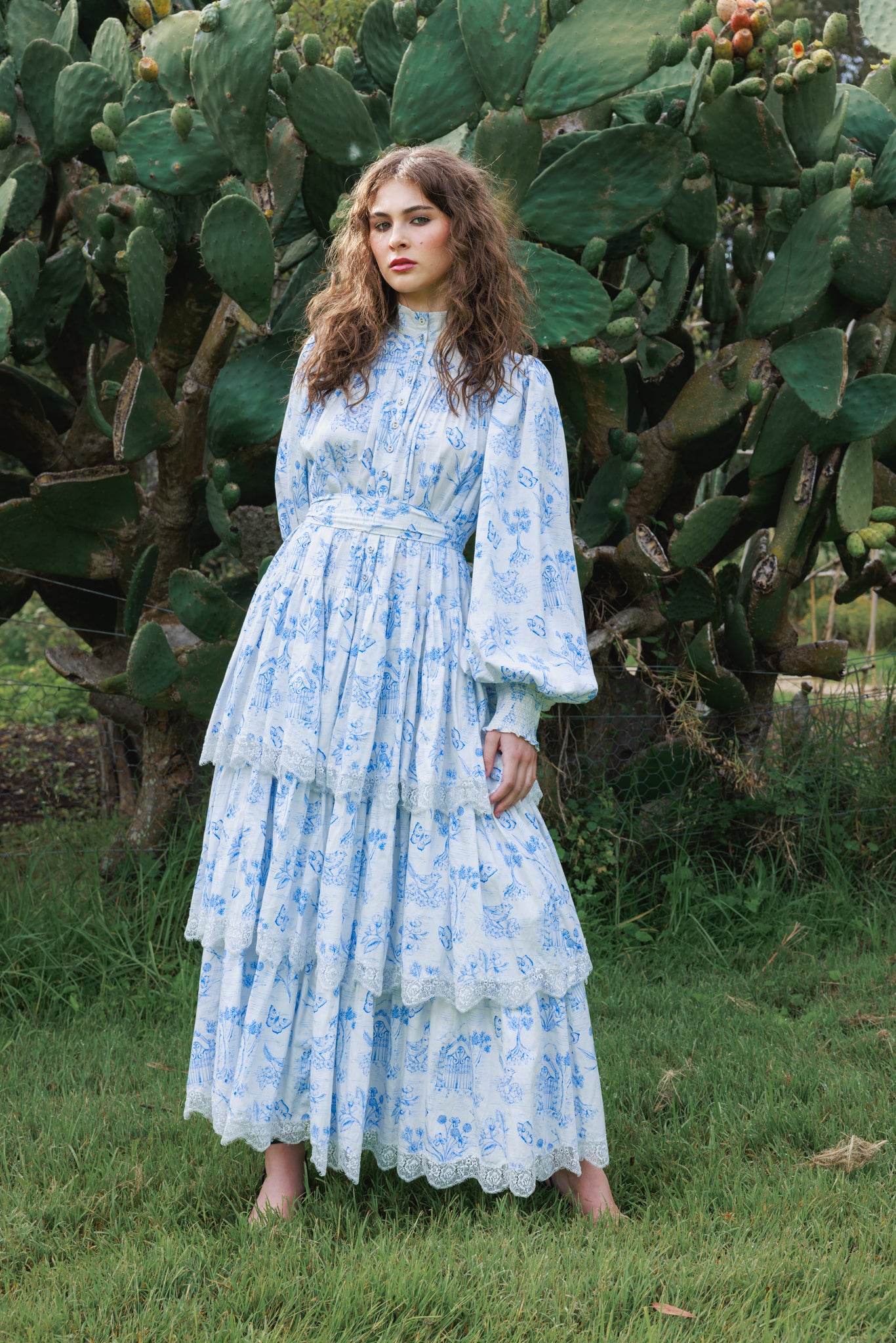 Meadow Gate Toile Tiered Maxi Dress